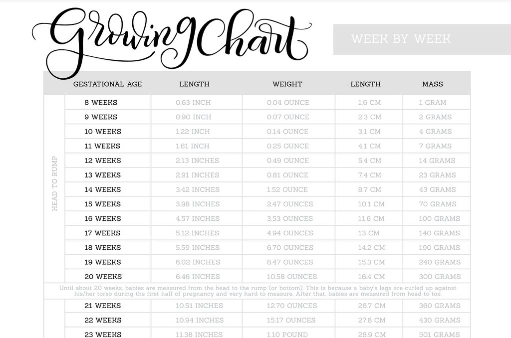 41 Week Amazing Journey Printable Pregnancy Journal – Pint-sized Treasures