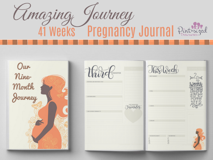 41-week-amazing-journey-printable-pregnancy-journal-pint-sized-treasures